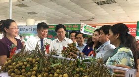 Khai mạc Tuần lễ nhãn và nông sản an toàn Sơn La tại Hà Nội