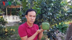 Đồng khởi khởi nghiệp: Cách làm mới ở xứ dừa Bến Tre