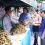 Phiên chợ nhãn lồng Hưng Yên thu hút khách tham quan