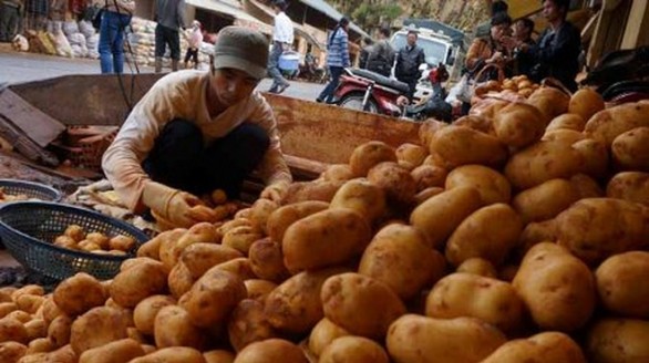 Khai mạc Hội chợ Nông sản Đà Lạt: Kiên quyết chặt dòng nông sản 
