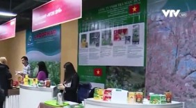 Các hiệp hội mở đường cho DN đưa hàng Việt mở rộng thị trường