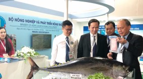 Ngày 6/10, khai mạc Hội chợ các sản phẩm thủy sản tại Hà Nội 2018