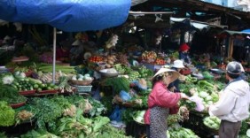 Hải Phòng: Đưa 150 lượt hàng Việt về nông thôn
