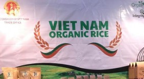 Giới thiệu gạo hữu cơ Việt Nam tại Hội chợ Go Green Expo 2018