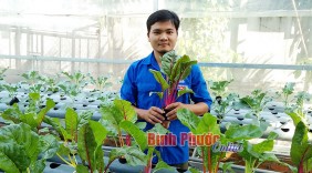 Kỹ sư trẻ khởi nghiệp với nghề trồng rau thủy canh