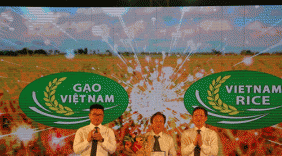 Hơn 1.100 gian hàng tại Festival lúa gạo Việt Nam ở Long An