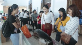 Phú Yên: Hỗ trợ doanh nghiệp thông qua xúc tiến thương mại