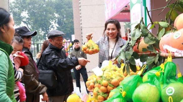 Hơn 100 doanh nghiệp tham gia hội chợ hàng nông sản đón Tết