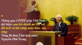 Nhiều nhóm hàng Việt Nam được hưởng thuế nhập khẩu 0% từ hôm nay