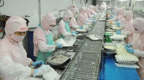 Hàng Việt và xứ sở hoa anh đào