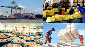 Cơ hội xuất khẩu hàng Việt sang thị trường Trung Đông - châu Phi