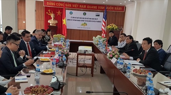 Sau 10 năm đàm phán, xoài Việt Nam được xuất khẩu sang Hoa Kỳ