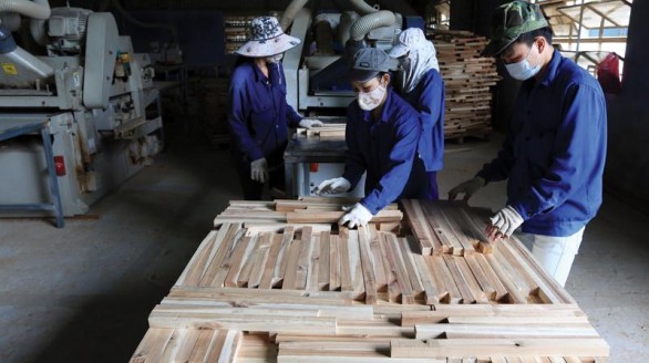 Gia tăng liên kết sản xuất, chế biến gỗ