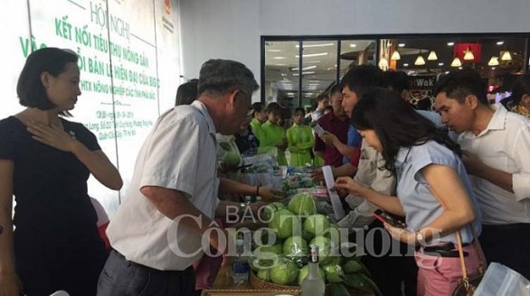150 hợp tác xã kết nối tiêu thụ hàng nông sản vào hệ thống siêu thị Big C Việt Nam