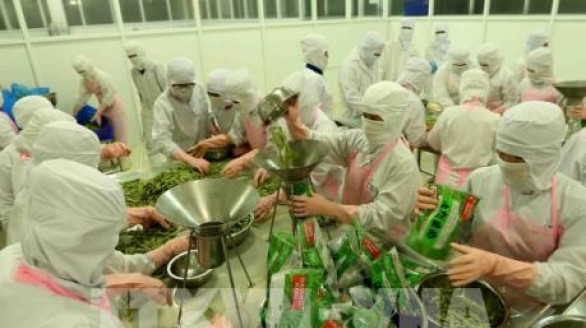 Các mặt hàng xuất khẩu của Bến Tre tăng khá