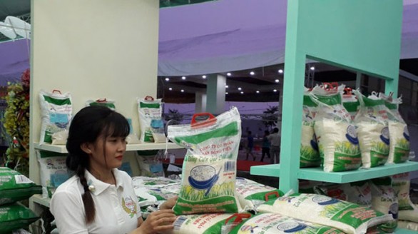 Nâng vị thế hạt gạo Việt Nam