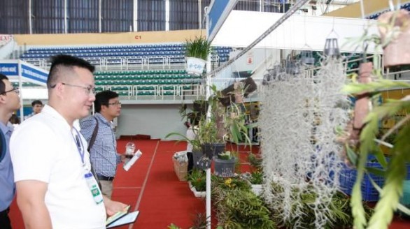 Khai mạc chuỗi hội chợ quốc tế chuyên ngành nông nghiệp