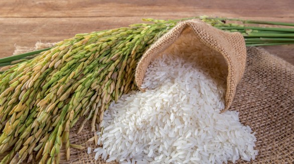 Cơ hội xuất khẩu gạo sang thị trường Senegal