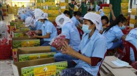 Nhân rộng các điểm bán hàng Việt phục vụ người tiêu dùng