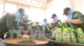 Sơn La mở rộng thị trường hàng Việt theo hướng bền vững