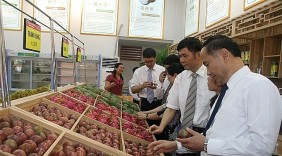 Xuất khẩu nông sản Sơn La tăng trưởng khả quan