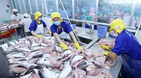 Hàng Việt chờ đột phá vào ASEAN