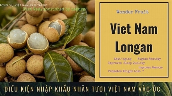 Nhãn tươi Việt Nam được phép xuất khẩu sang Úc