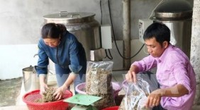 Người Việt ưu tiên dùng hàng Việt: Động lực đổi mới doanh nghiệp