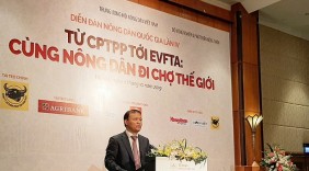 CPTPP đến EVFTA: Tạo sức bật lớn cho nông nghiệp Việt Nam