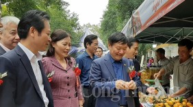 Rộn ràng Phiên chợ cam Hưng Yên năm 2019