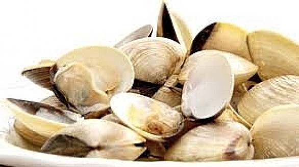 Nghêu, sò Việt Nam được chuộng tại châu Âu