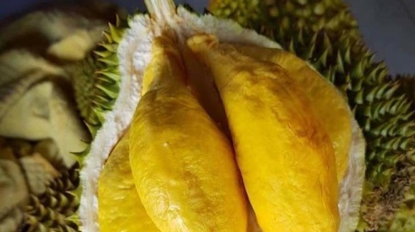 Sầu riêng Việt tìm cơ hội ở Australia