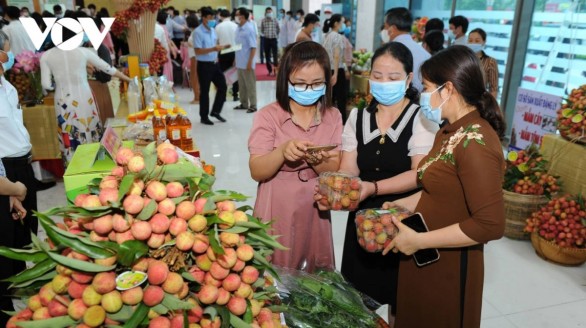 Tạo điều kiện thuận lợi trong lưu thông và tăng cường hỗ trợ tiêu thụ tại thị trường trong nước các sản phẩm nông sản của các địa phương có sản lượng nông sản lớn, sản xuất tập trung trong bối cảnh dịch Covid-19 diễn biến phức tạp