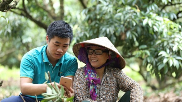Con đường đưa nông sản Việt lên môi trường số còn rất nhiều thách thức