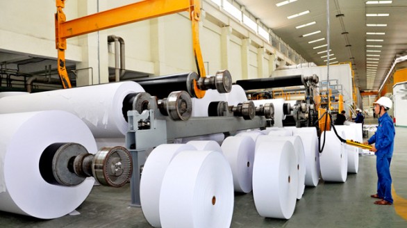 Ngành công nghiệp giấy của Việt Nam nỗ lực mở rộng sản xuất