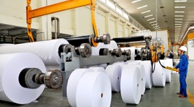 Ngành công nghiệp giấy của Việt Nam nỗ lực mở rộng sản xuất