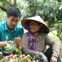 Lượng người tìm mua nông sản Việt trên Alibaba tăng 50%