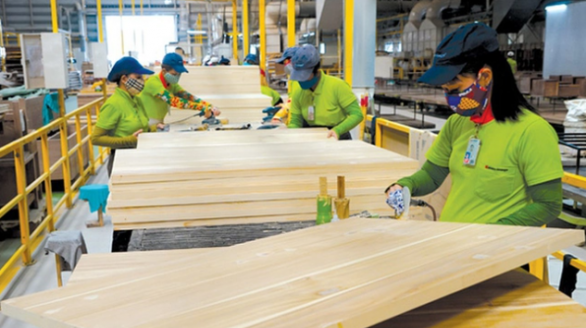 Chỉ 4,2% doanh nghiệp gỗ thực hiện chuyển đổi số toàn bộ