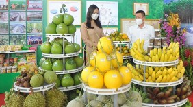 Tăng cường xúc tiến thương mại nâng cao giá trị sản phẩm OCOP