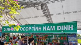 Nam Định hỗ trợ doanh nghiệp, hợp tác xã 2,5 tỷ đồng phát triển các sản phẩm OCOP