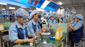 Sản phẩm tôm Việt Nam chiếm thị phần cao nhất tại Hàn Quốc