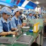 Sản phẩm tôm Việt Nam chiếm thị phần cao nhất tại Hàn Quốc