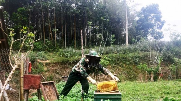 Cao Bằng: Đẩy mạnh tiêu thụ các sản phẩm từ ong, tạo sinh kế bền vững cho người dân