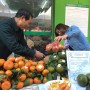 Liên kết chuỗi sản xuất và tiêu thụ để mở rộng đầu ra cho nông sản tỉnh Yên Bái