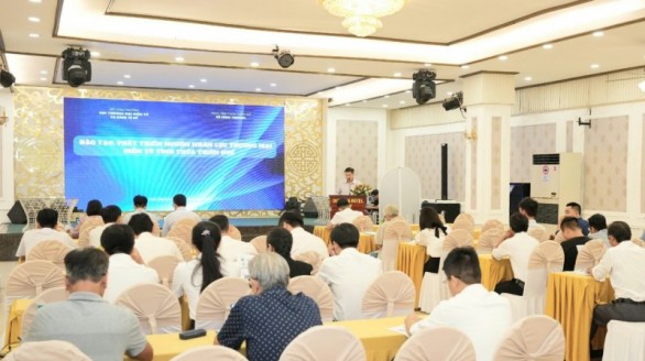 Thừa Thiên Huế: Phát triển nguồn nhân lực cho thương mại điện tử