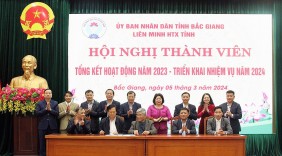 Bắc Giang: Hỗ trợ tối đa để các hợp tác xã phát triển hơn nữa