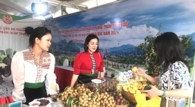 Chủ động liên kết, tạo chuỗi cung ứng hàng Việt tới người tiêu dùng