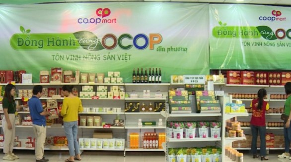 Lan tỏa chương trình “Đồng hành cùng OCOP - Tôn vinh nông sản Việt”