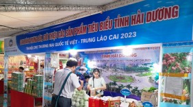Hải Dương: Triển khai Cuộc vận động “Người Việt Nam ưu tiên dùng hàng Việt Nam” năm 2024