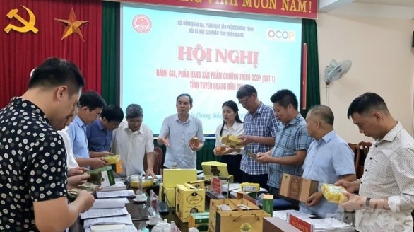 Tuyên Quang đánh giá phân hạng 7 sản phẩm OCOP